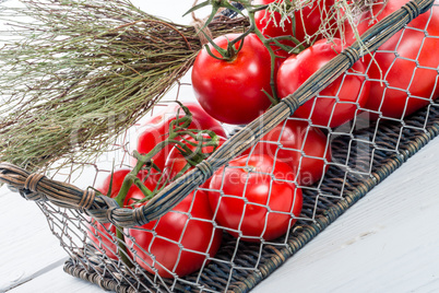 tomatoes in the basket