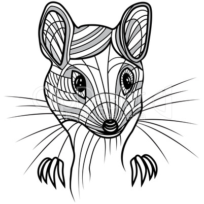 Rat or mouse head vector animal illustration for t-shirt.