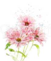Watercolor Image Of Chrysanthemum