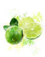 Watercolor Image Of  Fresh Limes
