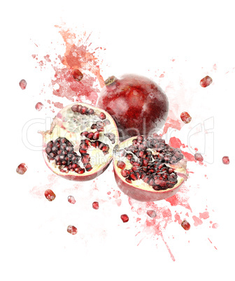 Watercolor Image Of Pomegranate