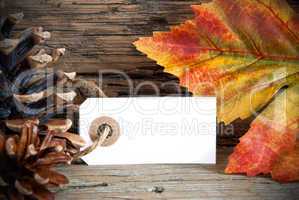 Banner with Copy Space and Autumn Decoration
