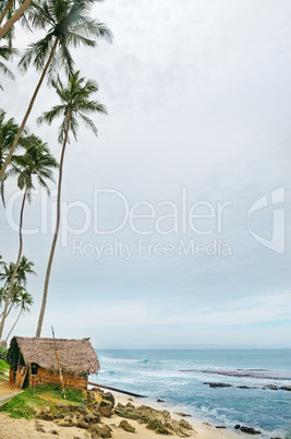 sea beach with palm trees and  hut