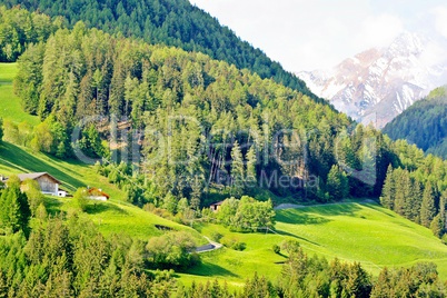 Alpen Talblick