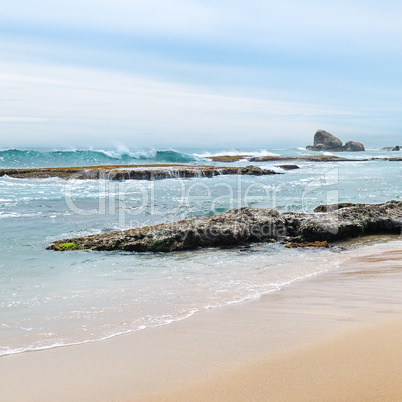 Beautiful coast of the Indian Ocean