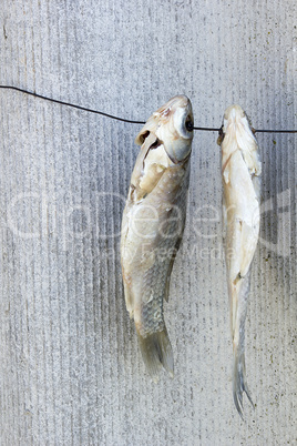 Dried fish