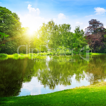 scenic lake in the summer park