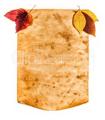 Old paper with autumn leaves, autumn note