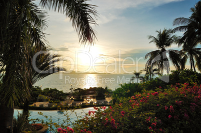 Beach with palm trees at luxury hotel in sunset, Pattaya, Thaila