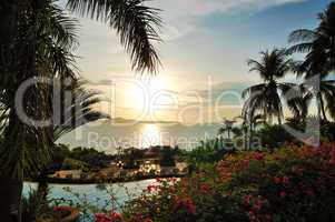 Beach with palm trees at luxury hotel in sunset, Pattaya, Thaila