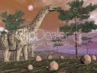 Argentinosaurus dinosaurs - 3D render