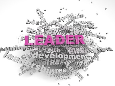 3d image Leader concept word cloud background