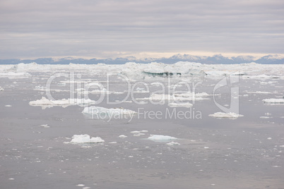 Arctic landscape in Greenland