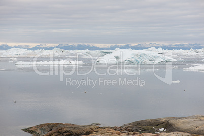 Arctic landscape in Greenland