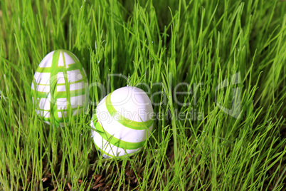 Ostereier im Gras Ostereier im Gras