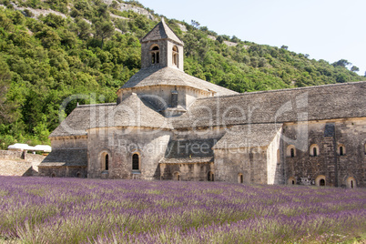 Abbey Senanque