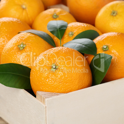 Orangen Früchte in Kiste mit Textfreiraum