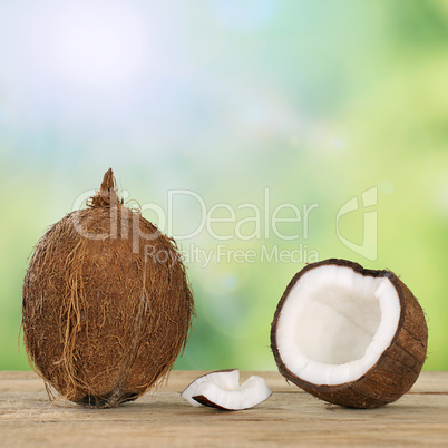 Kokosnuss Früchte im Sommer mit Textfreiraum