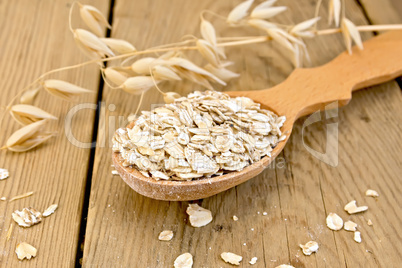 Flakes oat in spoon on board
