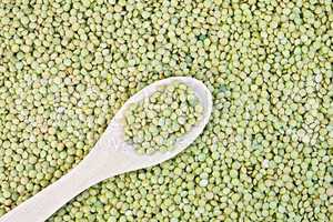 Lentils green texture with a wooden spoon
