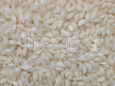 Rice food
