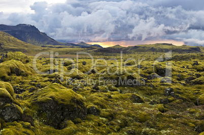 Surreal landscape with wooly moss at sunset in Iceland