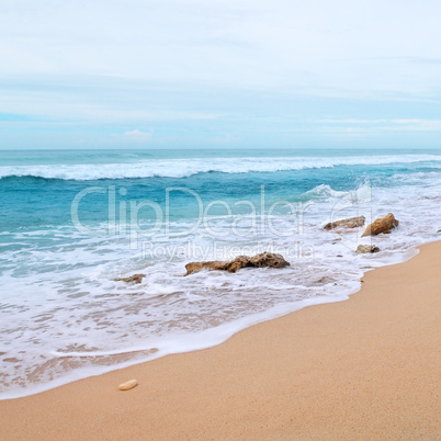 Beautiful coast of the Indian Ocean