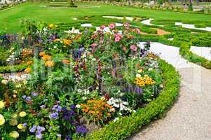 delightful flower bed in the summer park