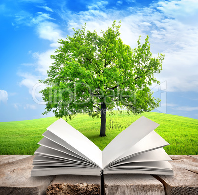 Tree and book