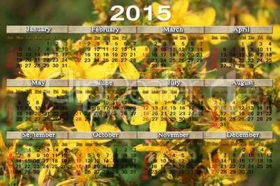 calendar for 2015 year with flowers of St.-John's wort