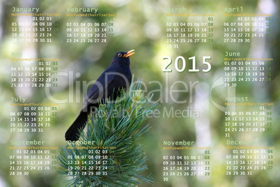 European 2015 year calendar with black bird