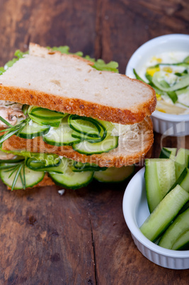 fresh vegetarian sandwich with garlic cheese dip salad