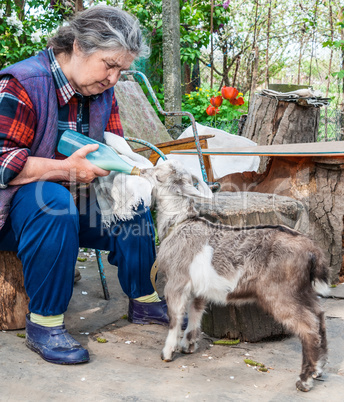 Farmer feeding a baby goat with a milk bottle
