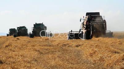 Combine On Wheat Field