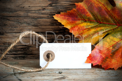 Background with Empty Label and Autumnal Decoration