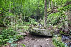 deciduous forest with ravines