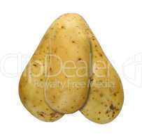 bizarre potato