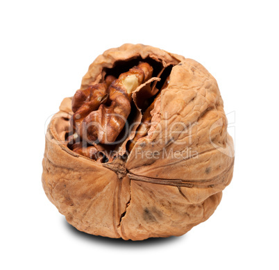 Walnut isolated on white background