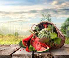 Watermelon and landscape