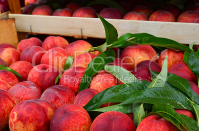 Peaches and leaves