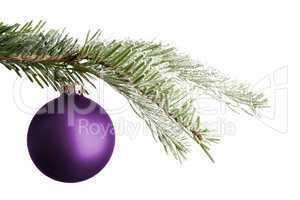 Purple Christmas ball on a snowy branch