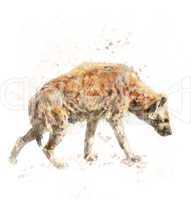 Watercolor Image Of Spotted Hyena