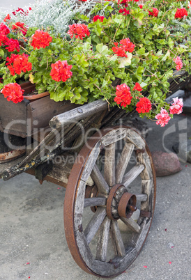 Wooden cart with flowers