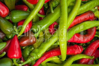 Chillies - Chilli