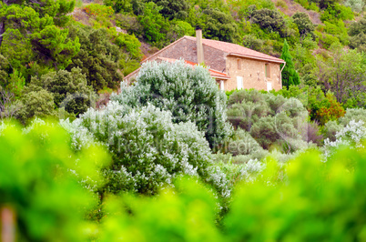 village in provence