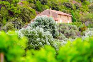 village in provence