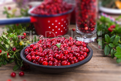 Lingonberries