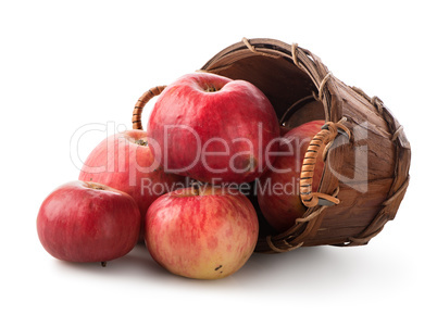 Apples in a basket