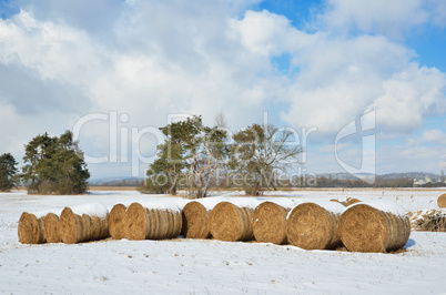 Winter field with straw bales