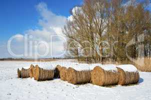 Winter meadow with straw bales